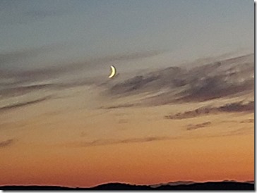 20220702_232238_001 (Klein)