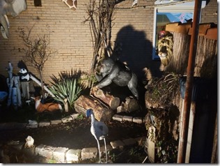 20221125_171533h - kopie (Klein)