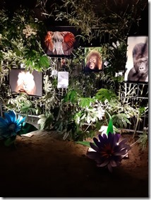 20221125_182313 - kopie (Klein)