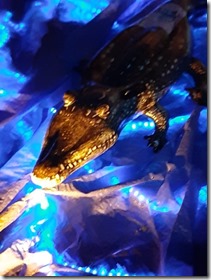 20221125_182422 - kopie (Klein)