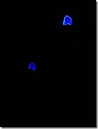 20221125_193135 - kopie (Klein)